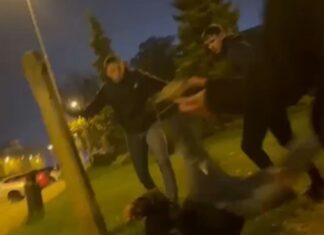 (VIDEO) Navijači Dinama napali navijače Celte nakon utakmice